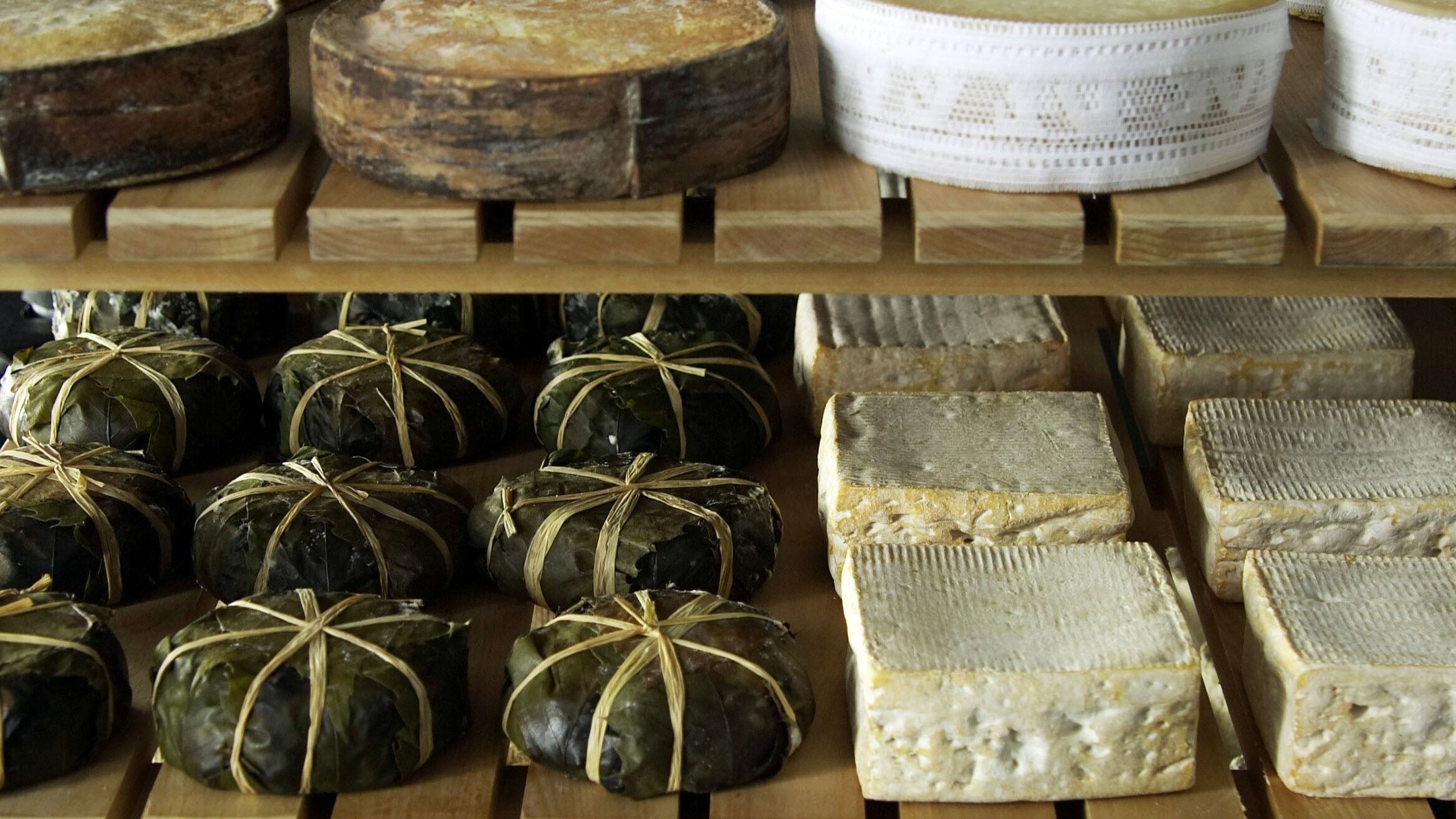 Cheeses in aging cave