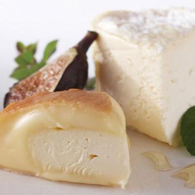 Taste of French Country - Artisanal Premium Cheese